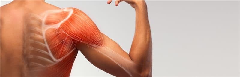 Shoulder Pain Banner